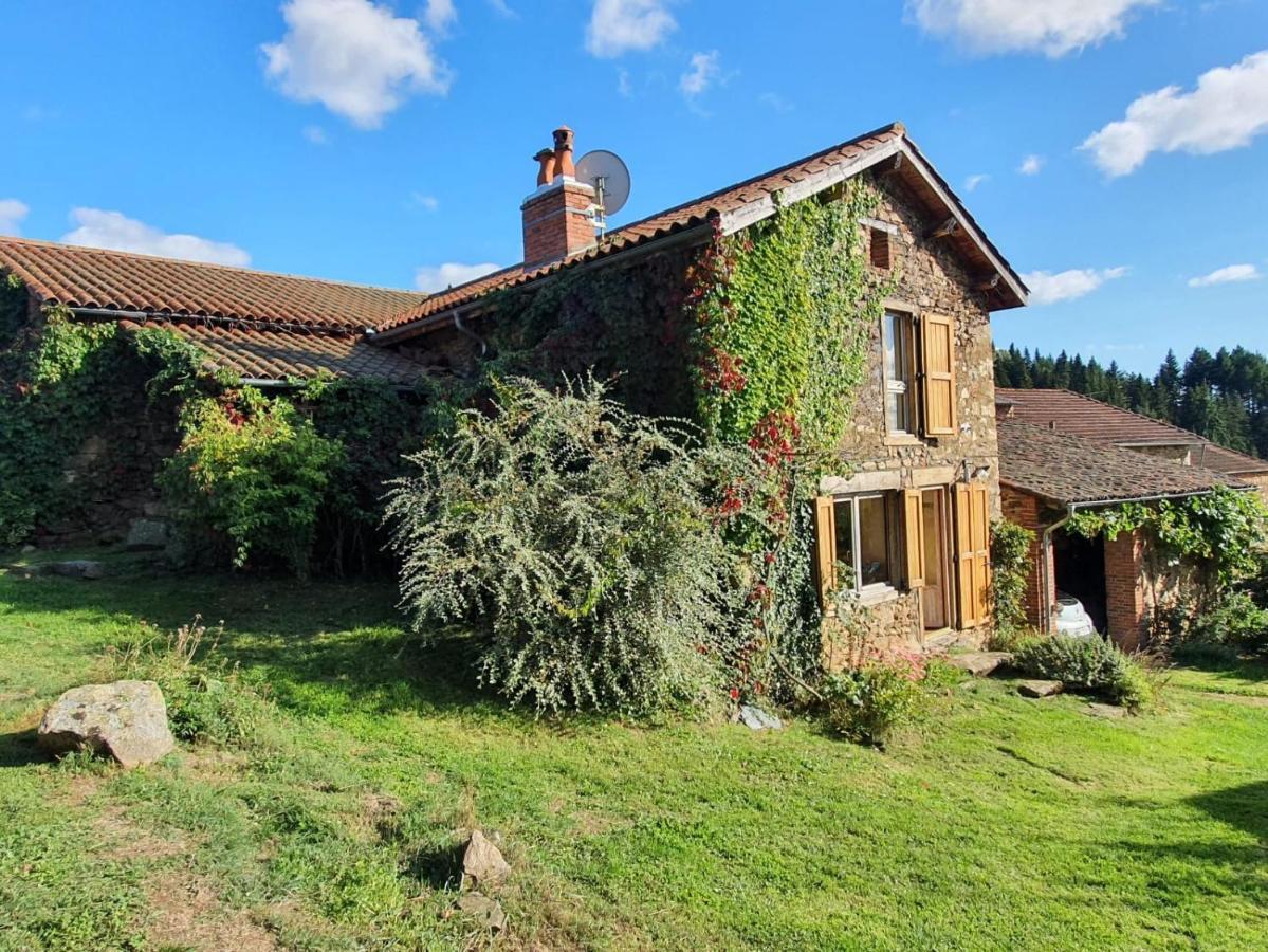 Eco-Gite Cottage Panoramique, Terrasses, Baby Foot, 150 M2 Renove Et Agrandi En 2024, Activites Proposees Champagnac-le-Vieux Exterior foto